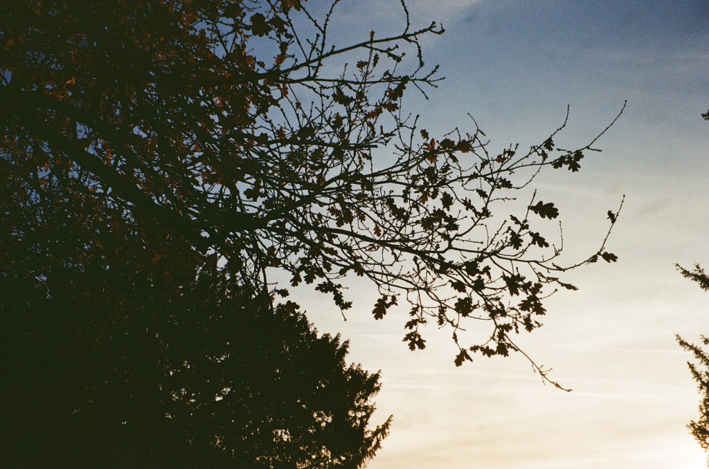 My First Novel&nbsp;!