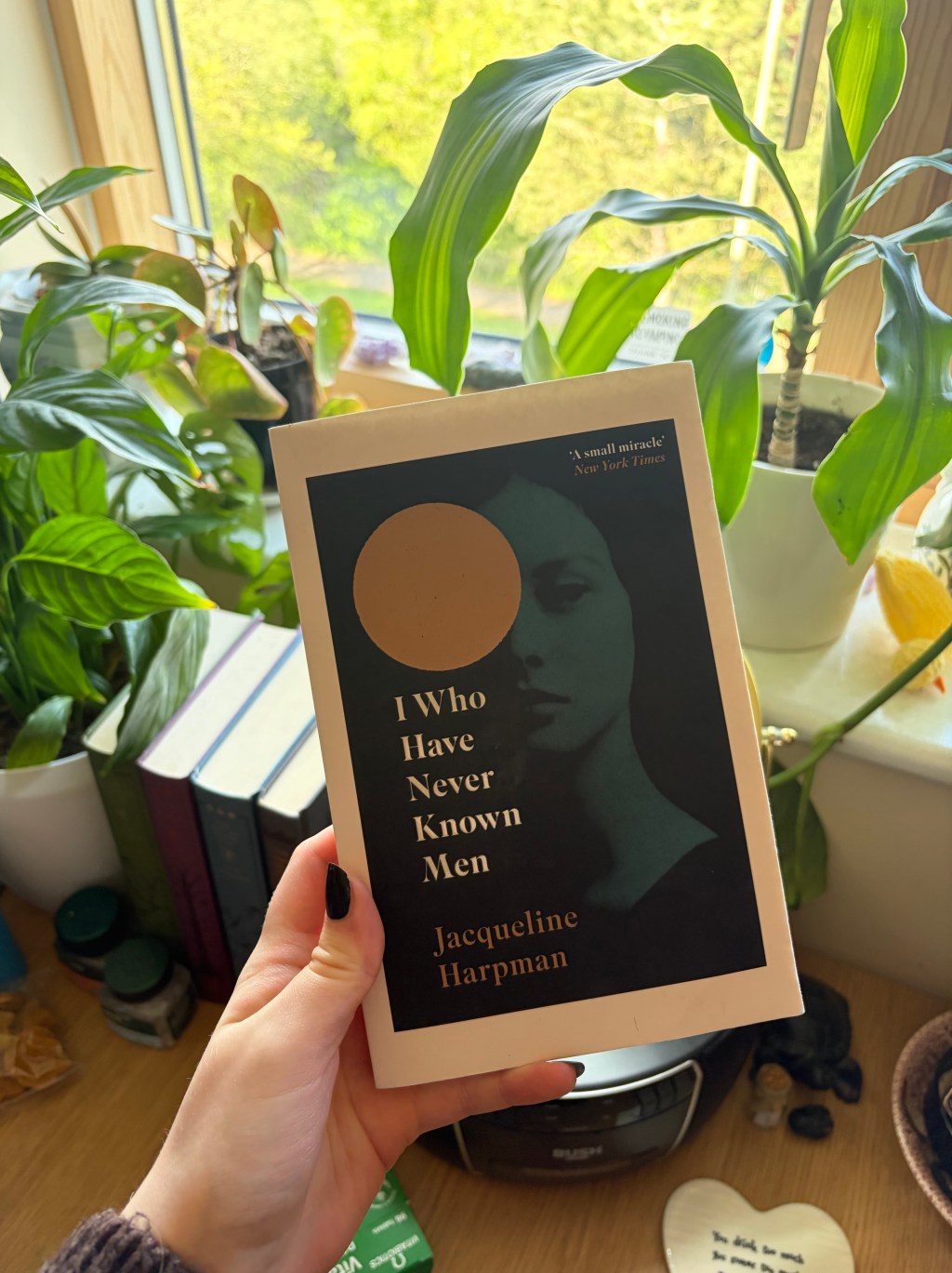 ‘I Who Have Never Known Men’ by Jacqueline&nbsp;Harpman